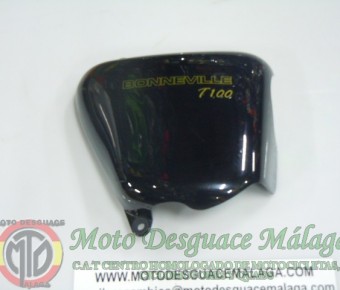 TRIUMPH BONNEVILLE T 100 2010 (16)