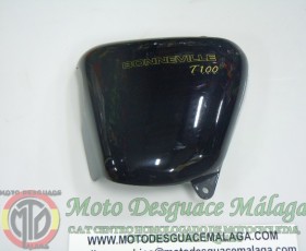 TRIUMPH BONNEVILLE T 100 2010 (17)