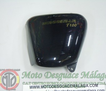 TRIUMPH BONNEVILLE T 100 2010 (17)