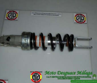 Suzuki Burgman 250 2004