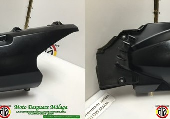 IMG_silver_wing_0776